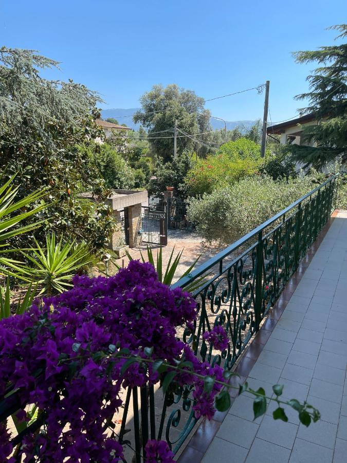 Agriturismo Al Gallo Verde Altavilla Silentina Exterior foto